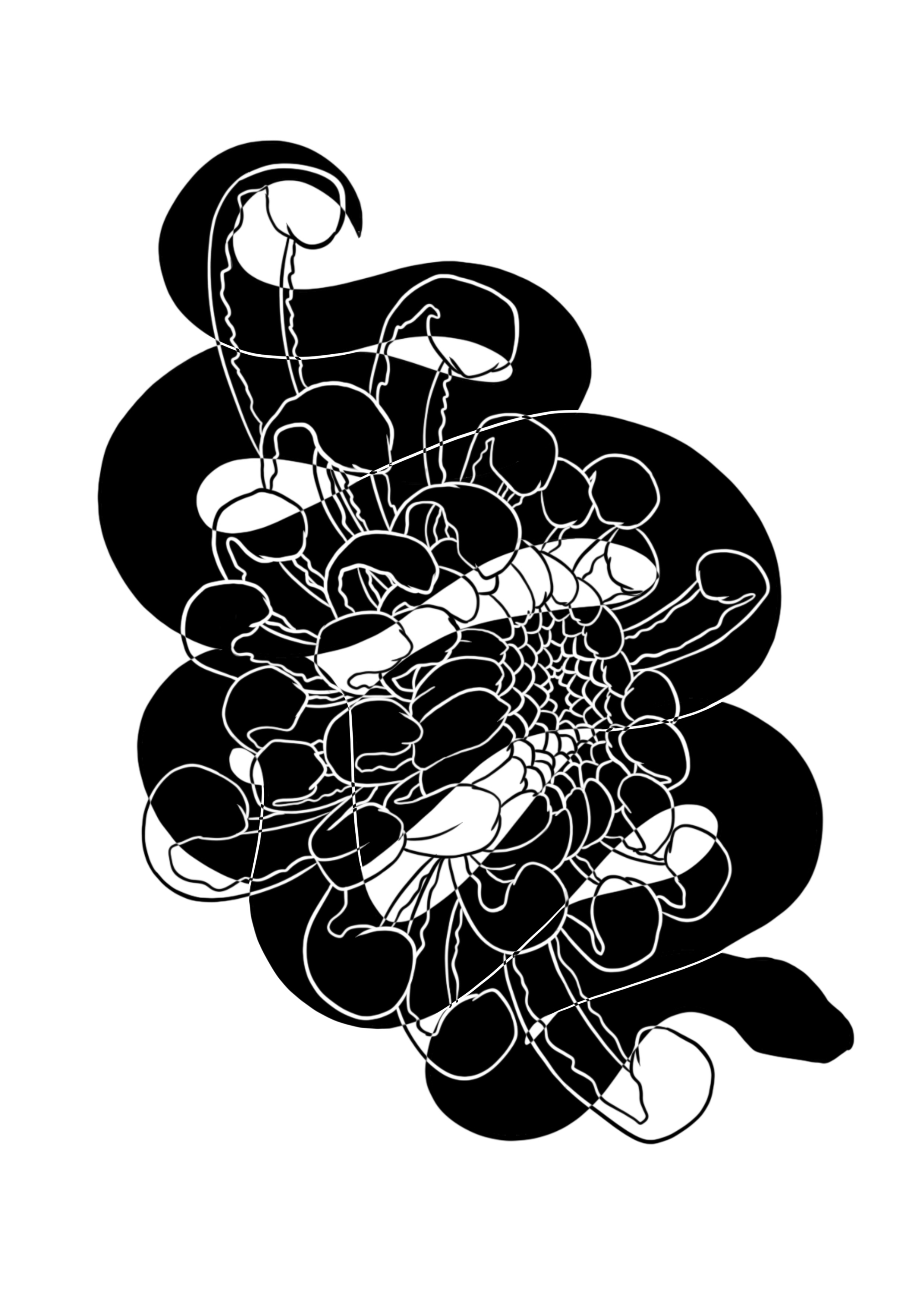 Serpent autour d'un chrysanthème